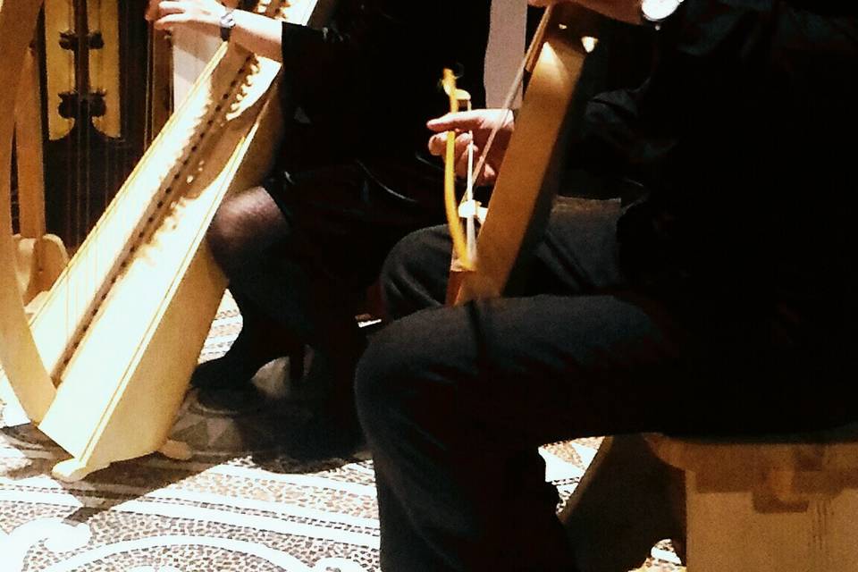 Musica d'arpa e viella.