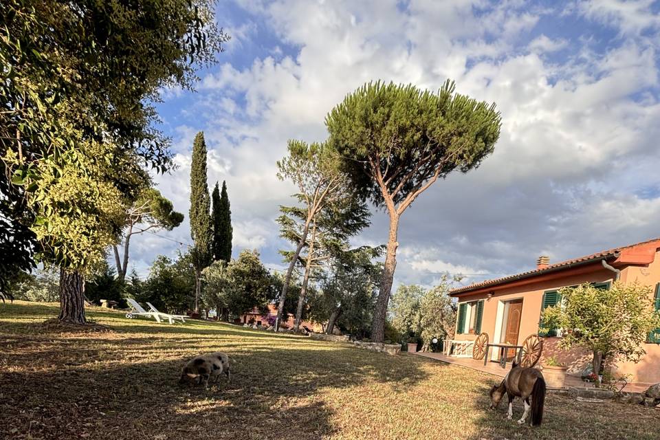 Abbellisci la tua location