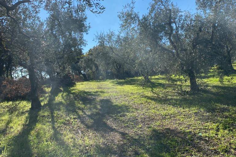 Abbellisci la tua location