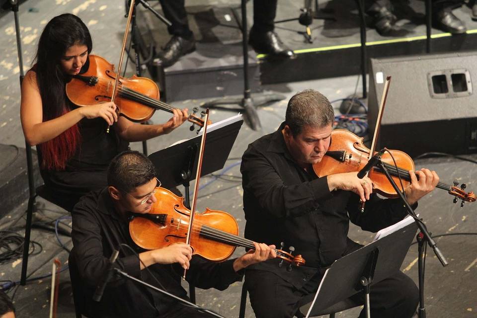 Quartetto d'archi Moncalieri