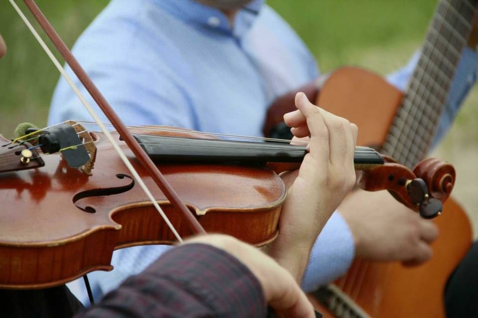 Quartetto d'archi Collegno