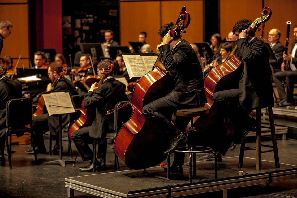 Quartetto d'archi Moncalieri