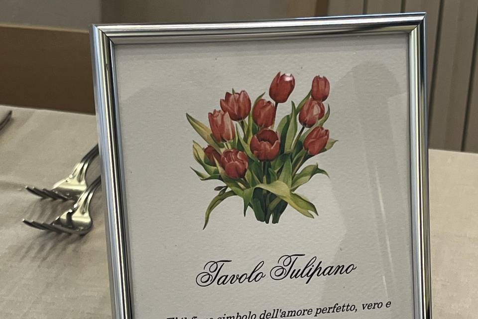 Tulipano