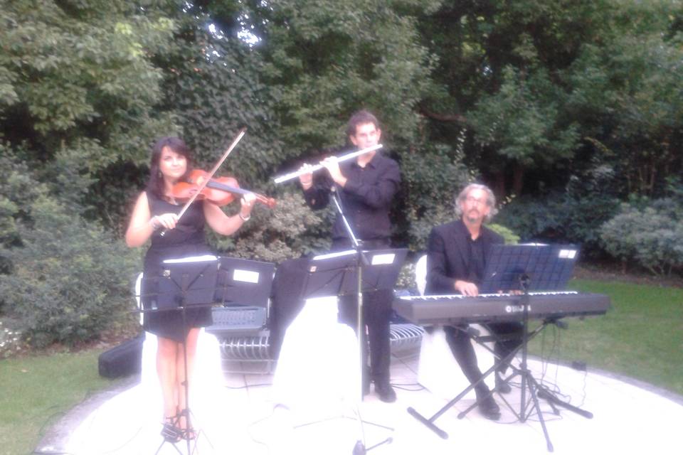 Trio per ricevimento