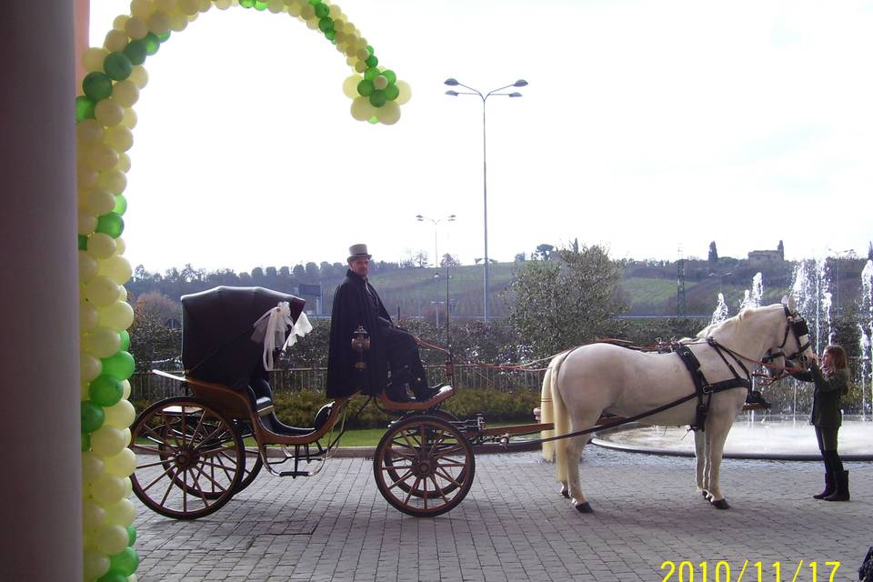 Carrozza con cavalli bianchi