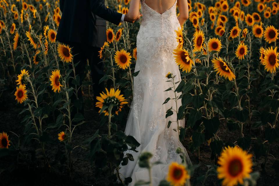 Passeggiata tra girasoli
