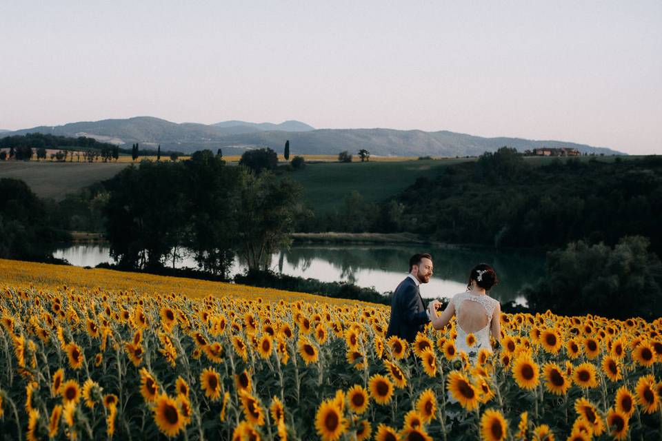 Sposi circondati da girasoli