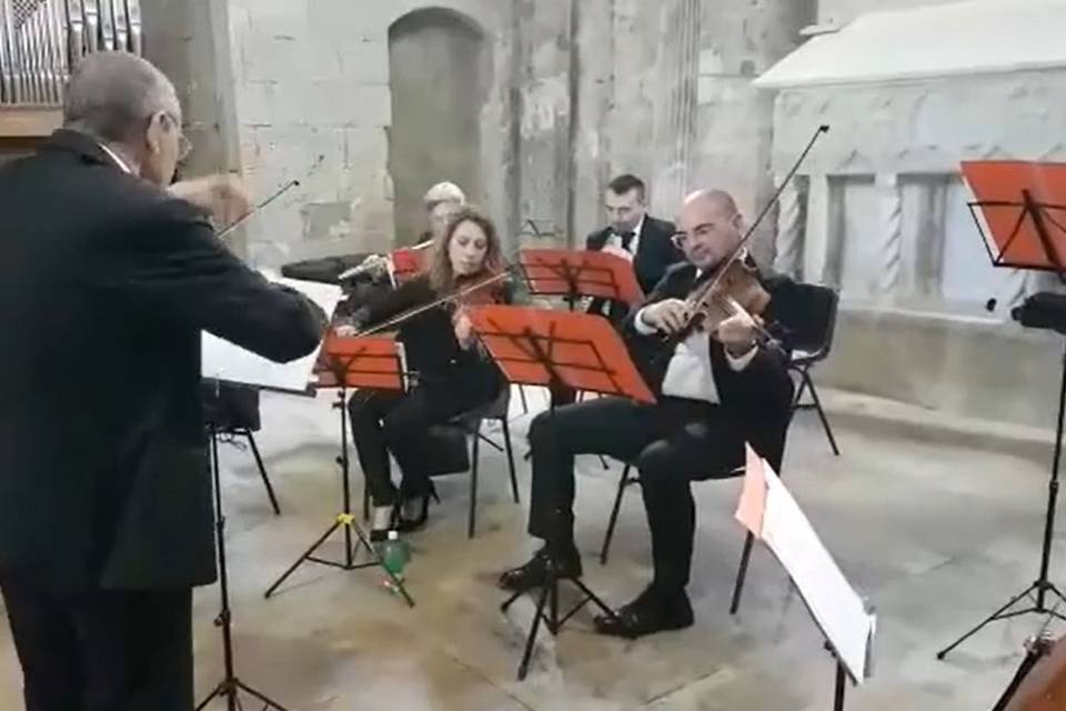 Orchestra Luce by Luigi Ceci