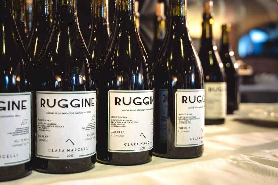 Marche's wine