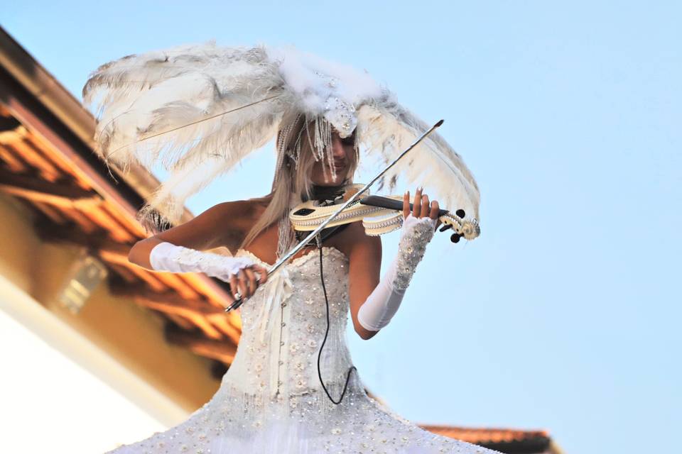 Video matrimonio violino