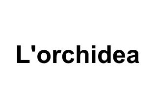 L'orchidea logo