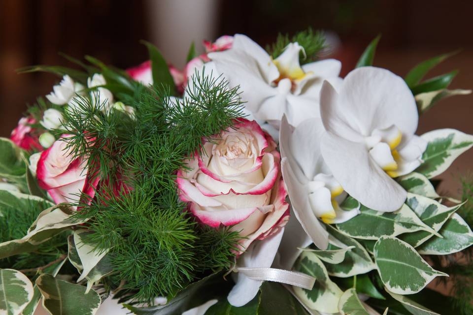 Bouquet Phalenopsis