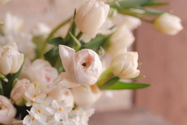 Bloomnest