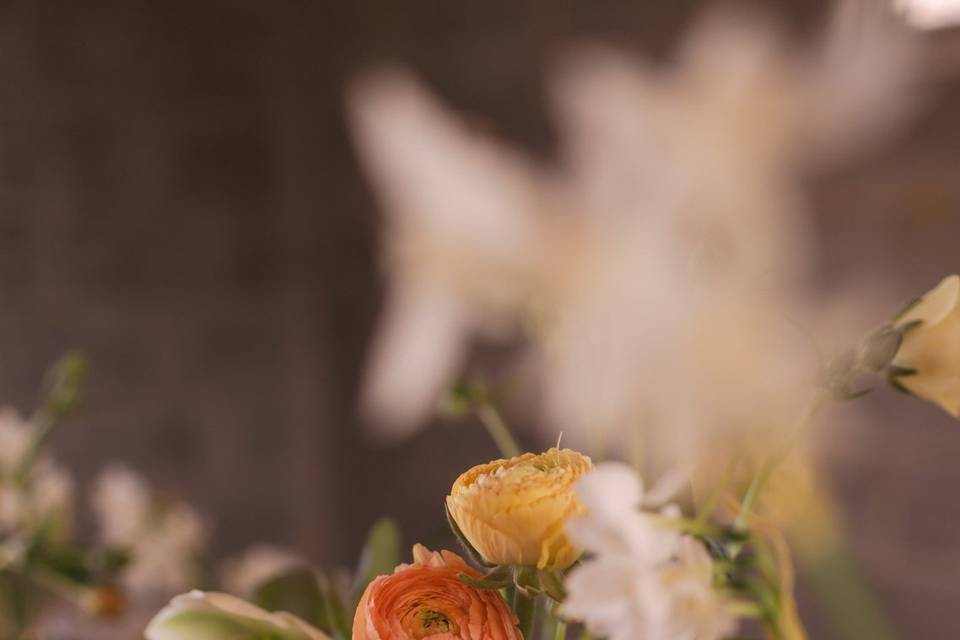Bloomnest