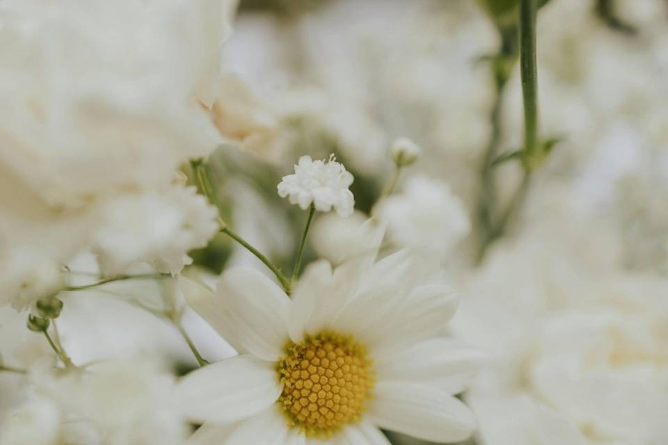 Bloomnest