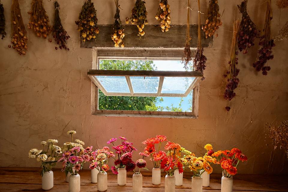 Tutto colorato