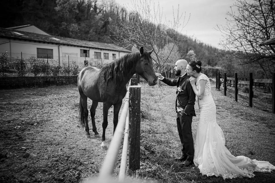 Cavallo