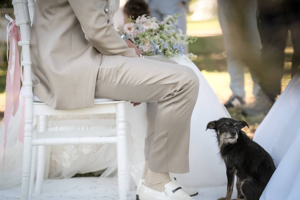 Fotografo-matrimoni-perugia
