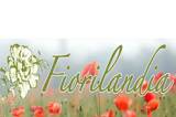 Fiorilandia logo