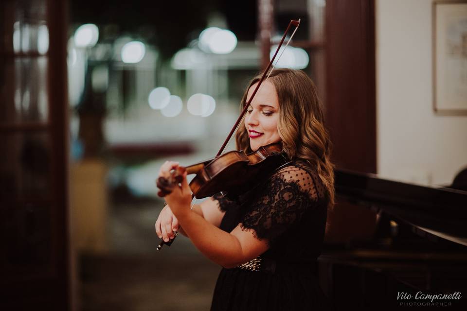 Violino in sala