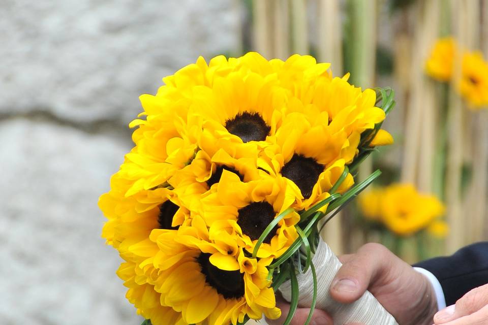 Matromonio Girasoli