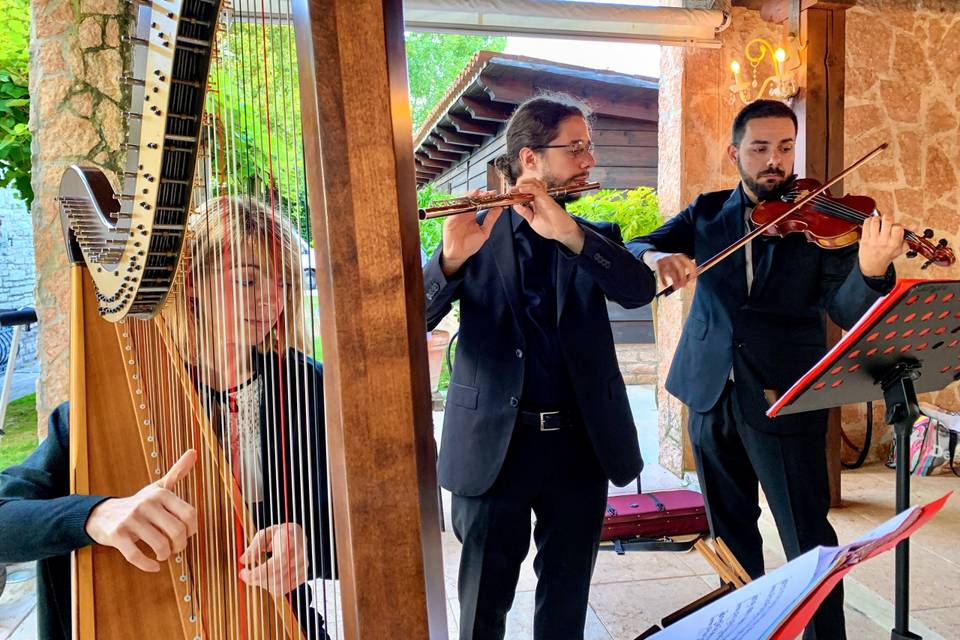 In trio