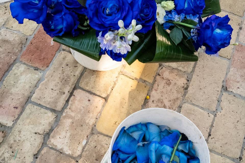 FOTO RAMO E PETALI DI ROSE BLU