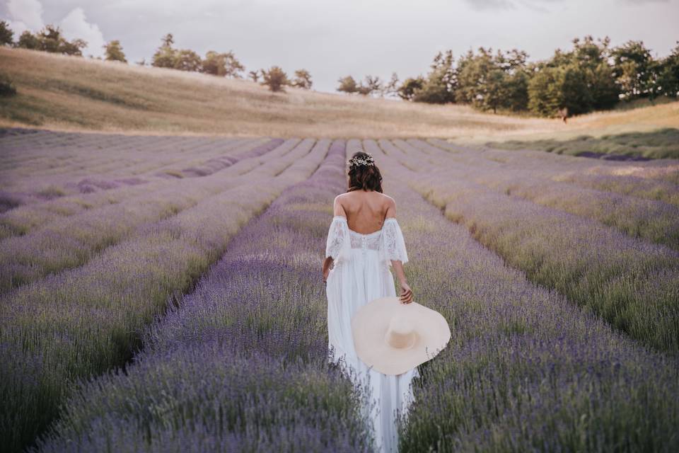 Torta lavanda