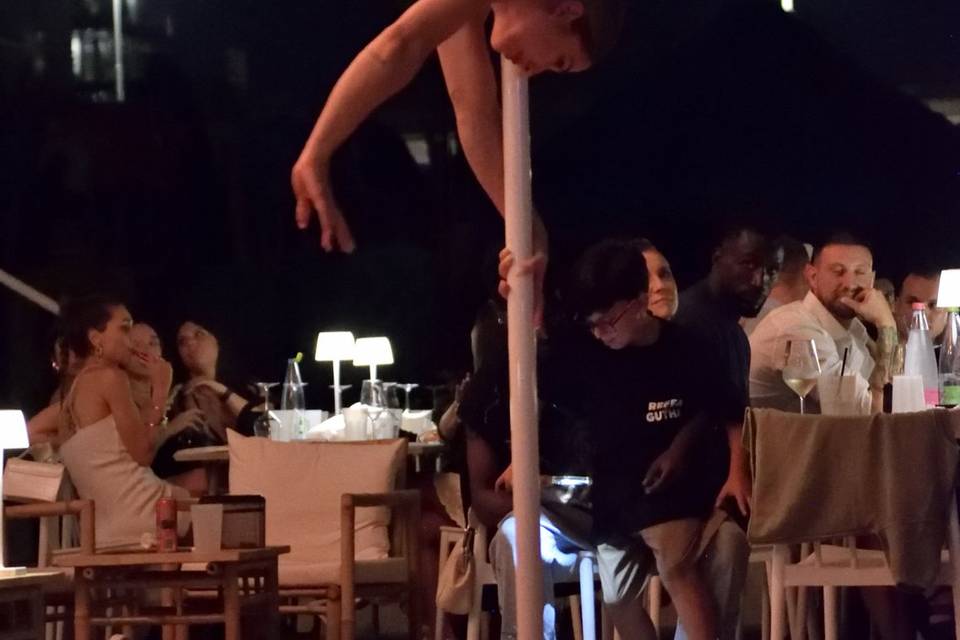 Artisti Levitas: Pole