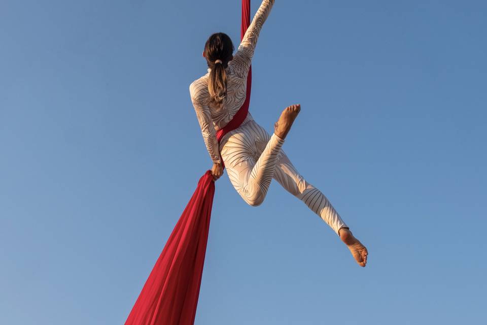 Artisti Levitas: Tessuto aereo