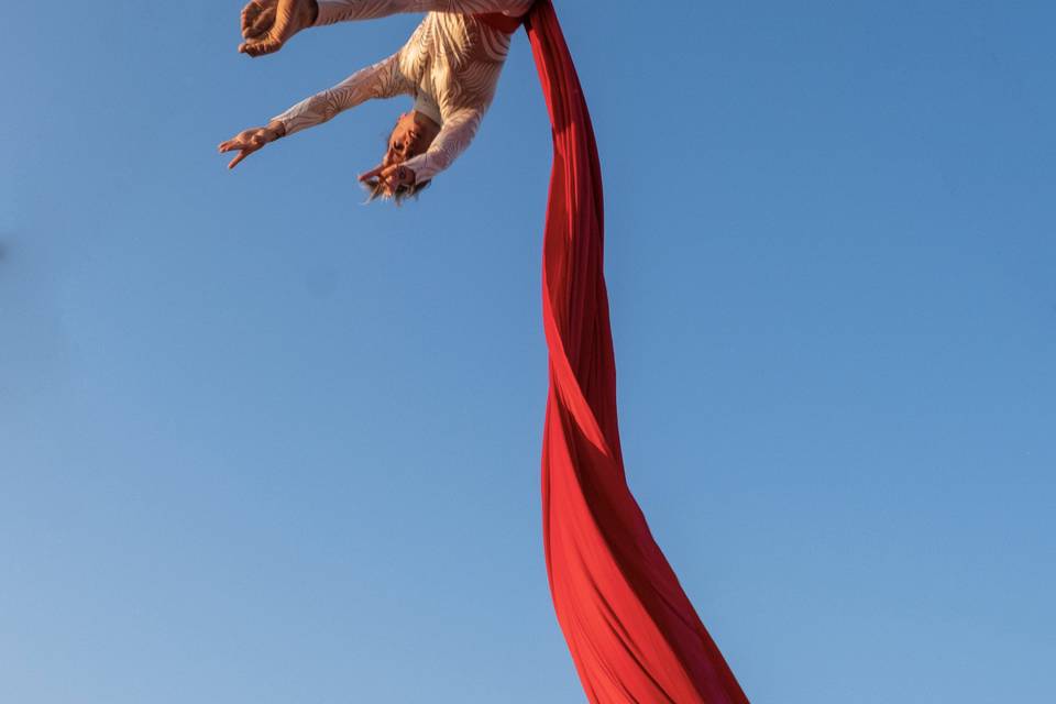 Artisti Levitas: Tessuto aereo