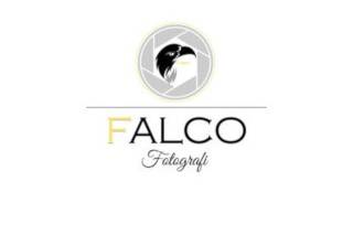 Logo falco fotografi