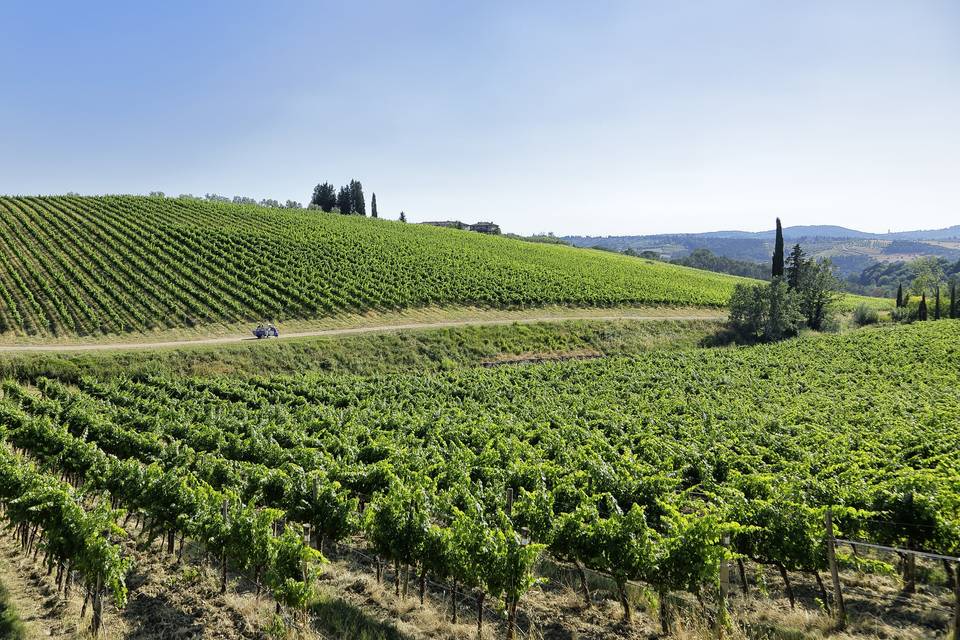 Wedding in Tuscany