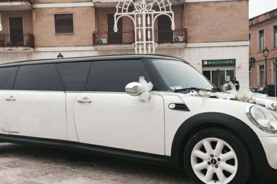 Mini limousine