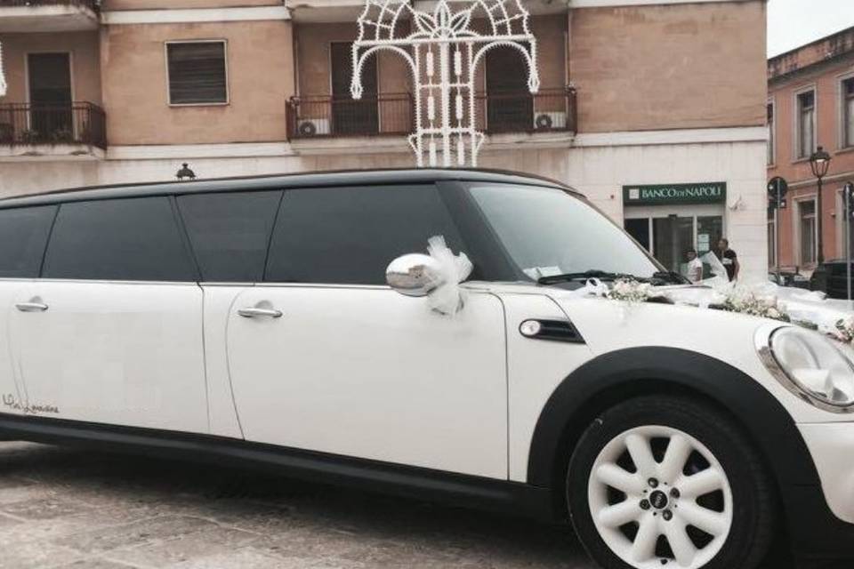 Mini coper limousine