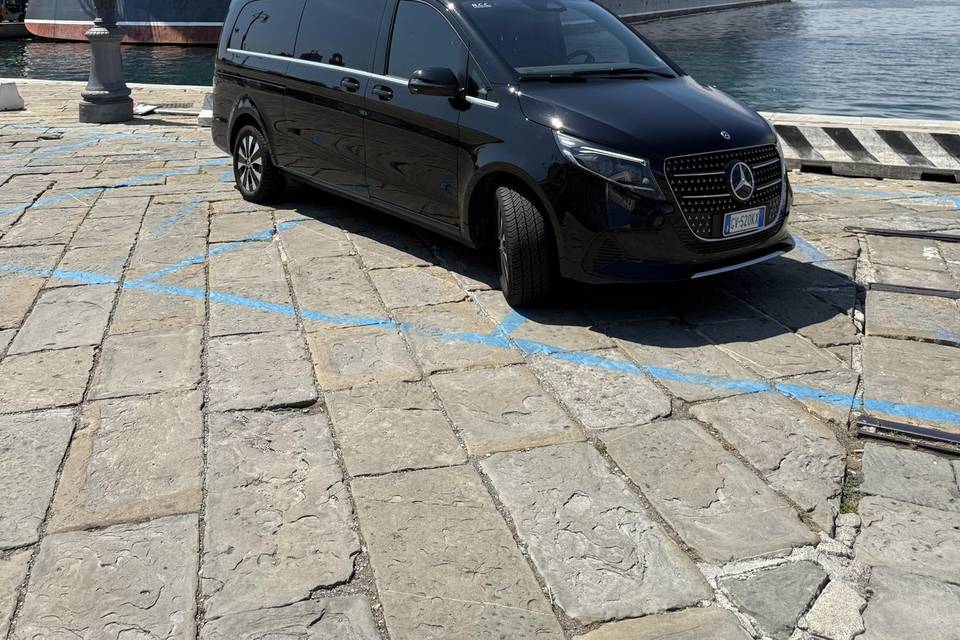 Venice Minivan Service