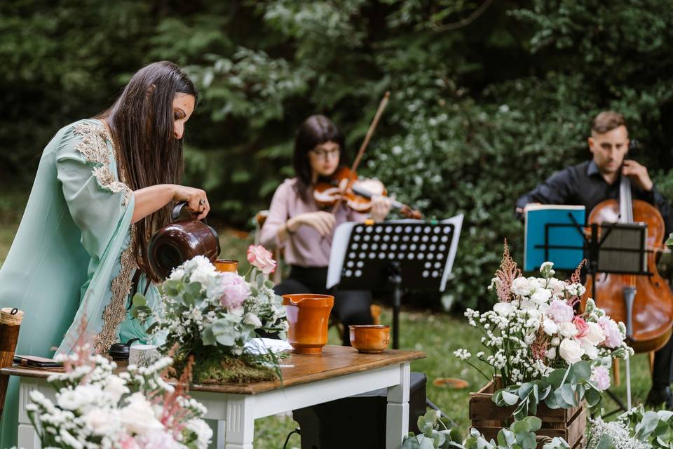 Duo D'Archi Royal Music