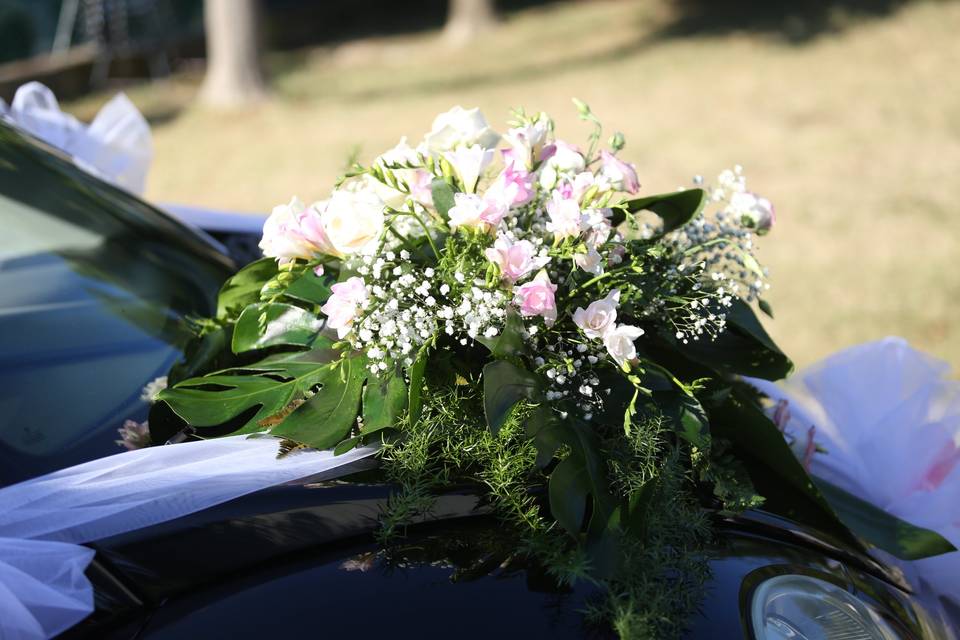 Auto Sposa