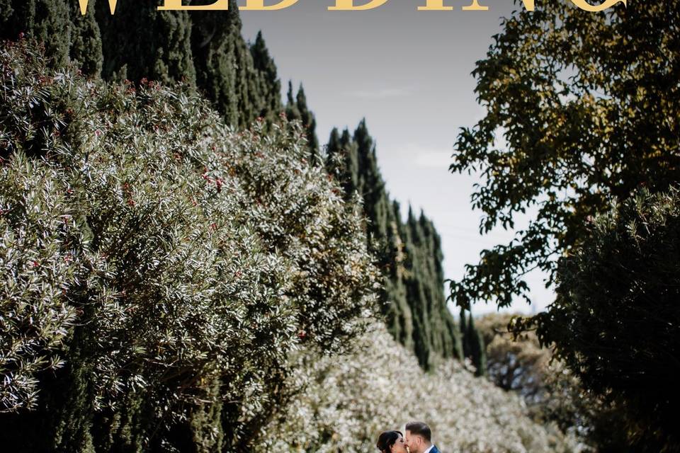 Ciardi