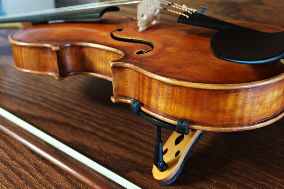 Violin