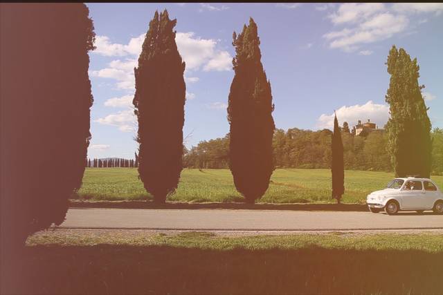 San Galgano - Siena