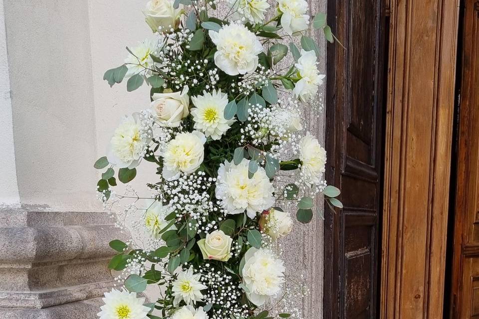 Gypsophila flowers designer