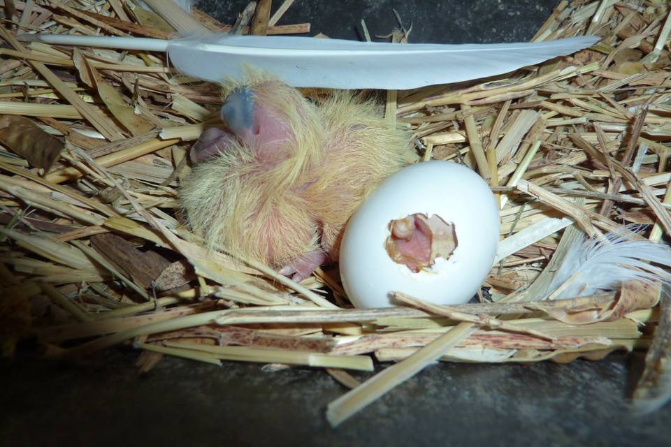 Mamma e piccoli!