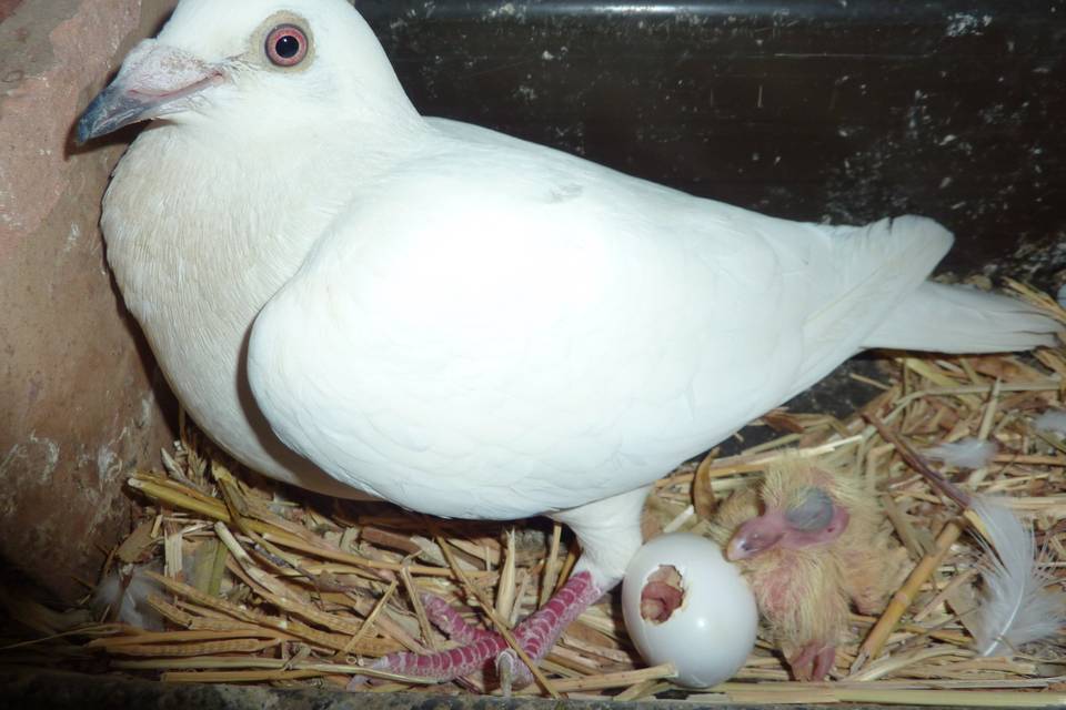 Mamma e piccoli!