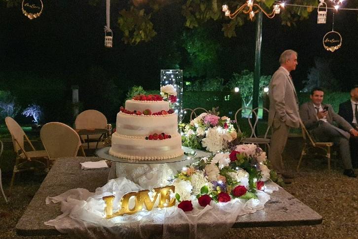 Gypsophila flowers designer