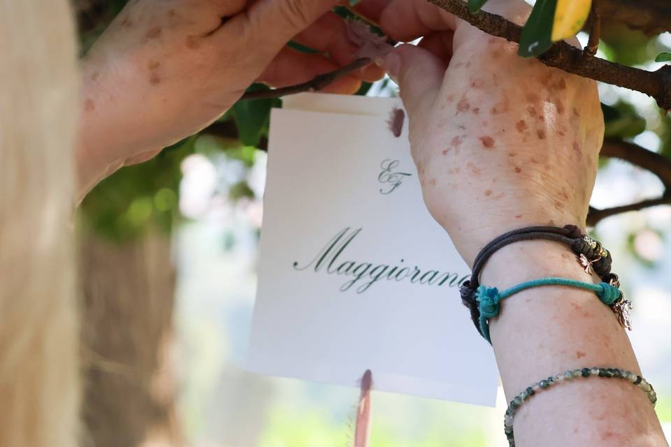 Tableau de Mariage