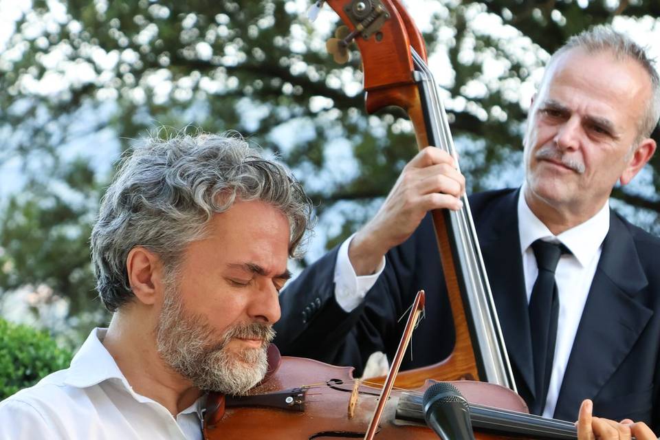 Intrattenimento musicale