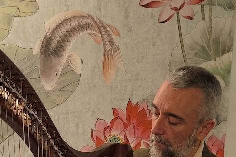 Harpist