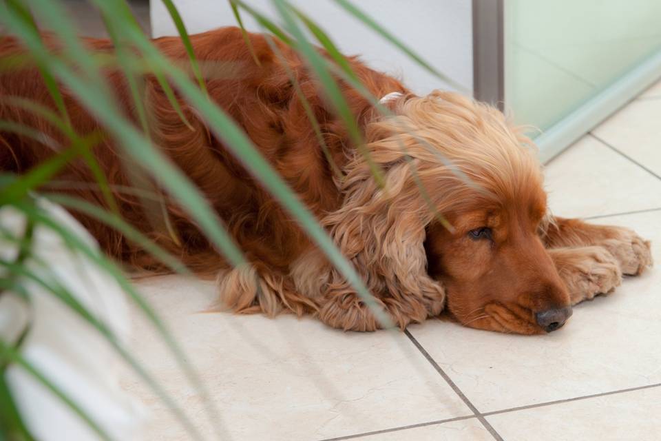 Il più bello senza trucco