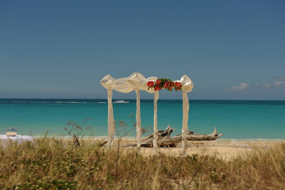 Celebrazione spiaggia estera